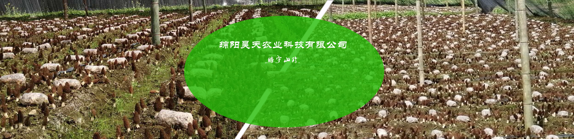 &#24320;&#20803;&#32593;&#31449;&#30331;&#24405;&#20837;&#21475;&#95;&#24320;&#20803;&#65288;&#20013;&#22269;&#65289;